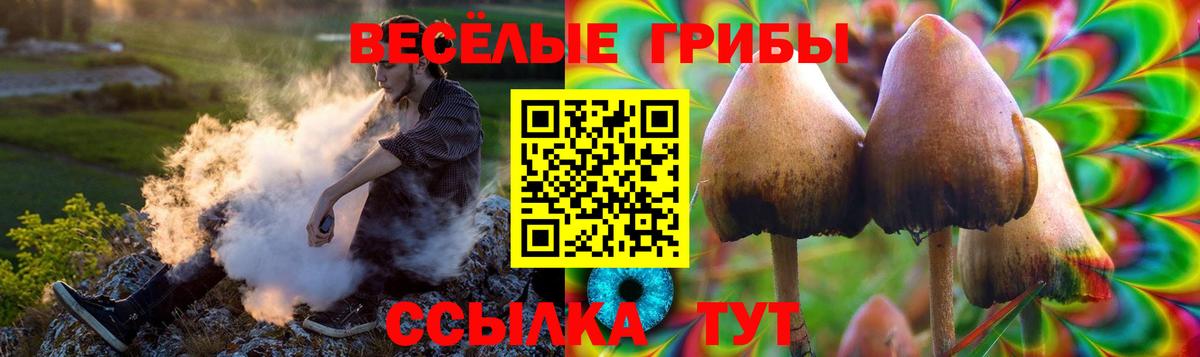 Псилоцибиновые грибы мухоморы Дзержинский